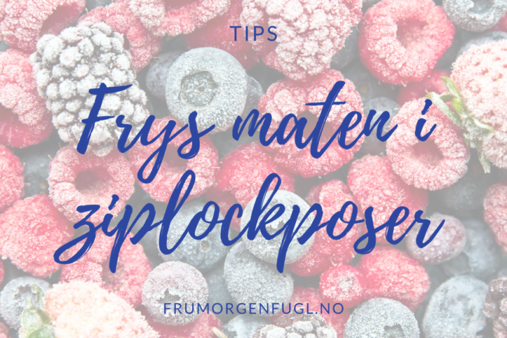 Tips: Frys maten i ziplockposer